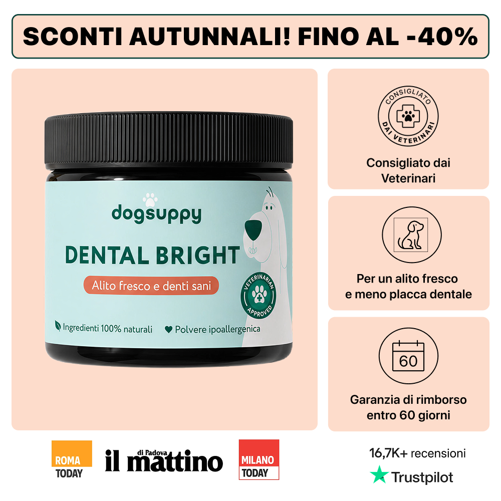 Dental Bright Offerta | Polvere 100% Naturale | 60 dosi