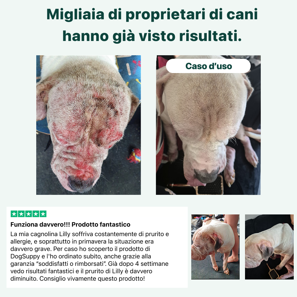 Sollievo Prurito | 100% Naturale | 60 integratori