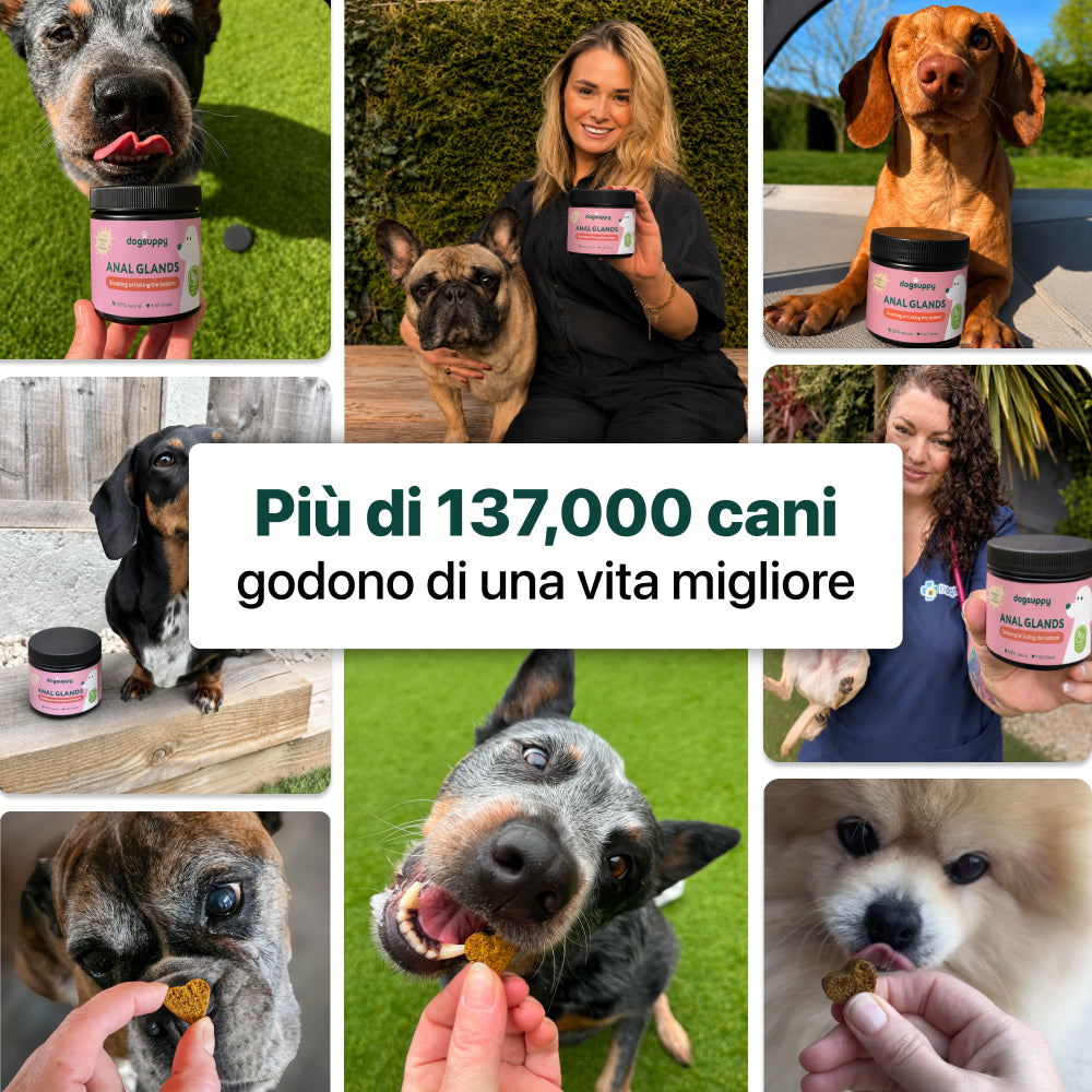Sollievo Ghiandole🌿 | 100% Naturale | 60 integratori