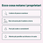 Sollievo Ghiandole🌿 | 100% Naturale | 60 integratori