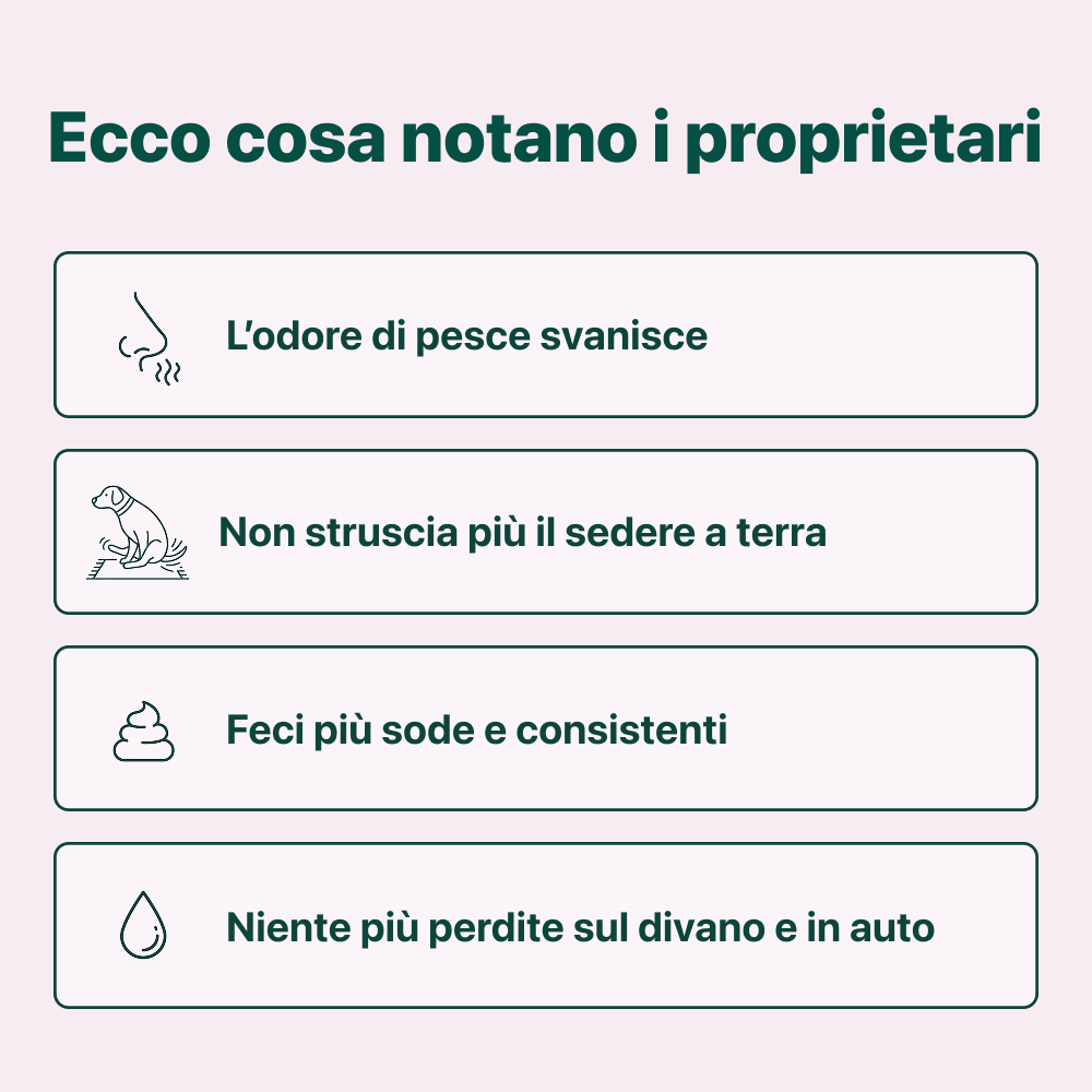 Sollievo Ghiandole🌿 | 100% Naturale | 60 integratori