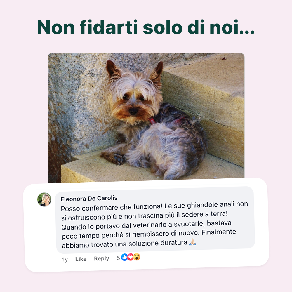 Sollievo Ghiandole🌿 | 100% Naturale | 60 integratori