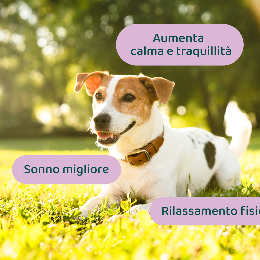 Ansia & Stress🌿 | 100% Naturale | 60 integratori