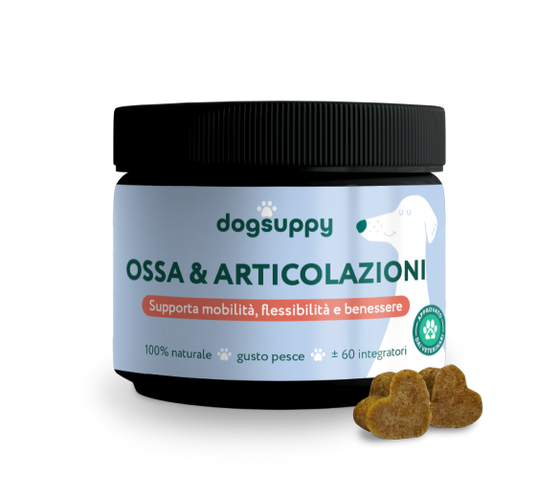 Ossa & Articolazioni